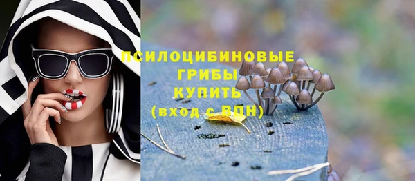 скорость Гусев