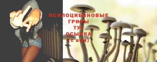 скорость Гусев