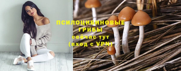 spice Гусь-Хрустальный