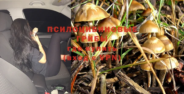 скорость Гусев