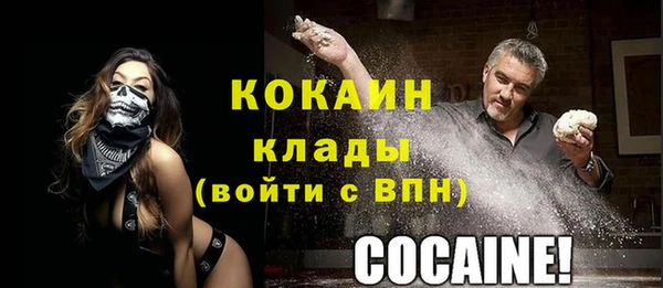 spice Гусь-Хрустальный